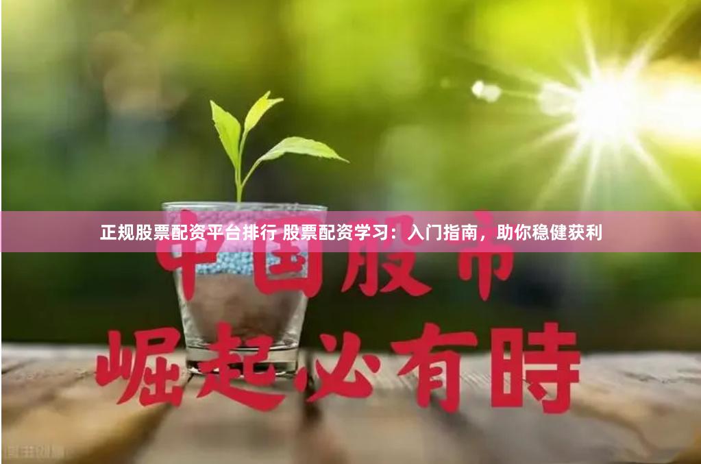 正规股票配资平台排行 股票配资学习：入门指南，助你稳健获利