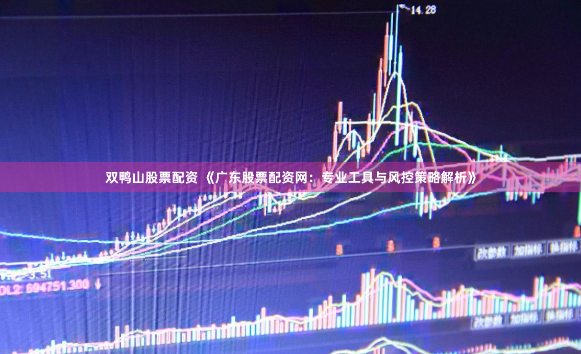 双鸭山股票配资 《广东股票配资网：专业工具与风控策略解析》