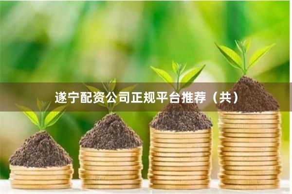 遂宁配资公司正规平台推荐（共）